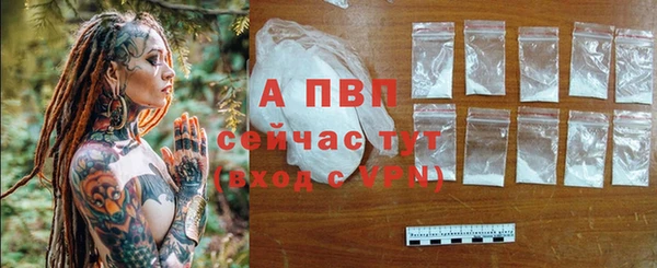 дмт Инта