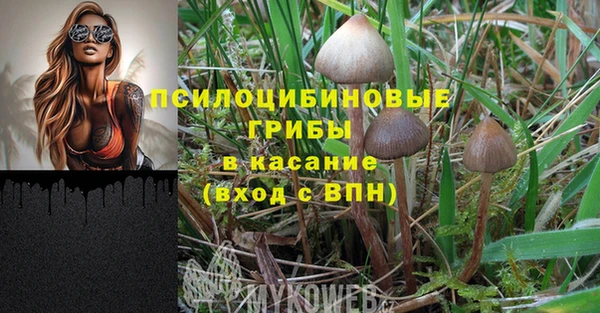 дмт Инта