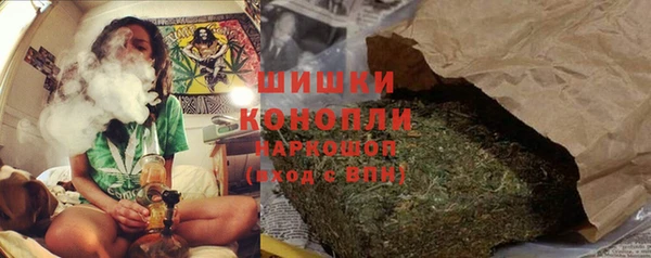 дмт Инта