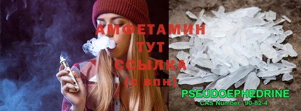 дмт Инта