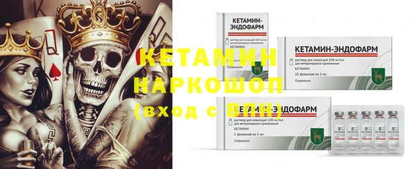 трава Иннополис