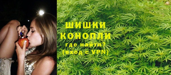 дмт Инта