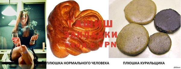 дмт Инта