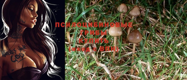 трава Иннополис