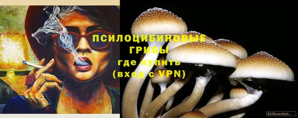 трава Иннополис